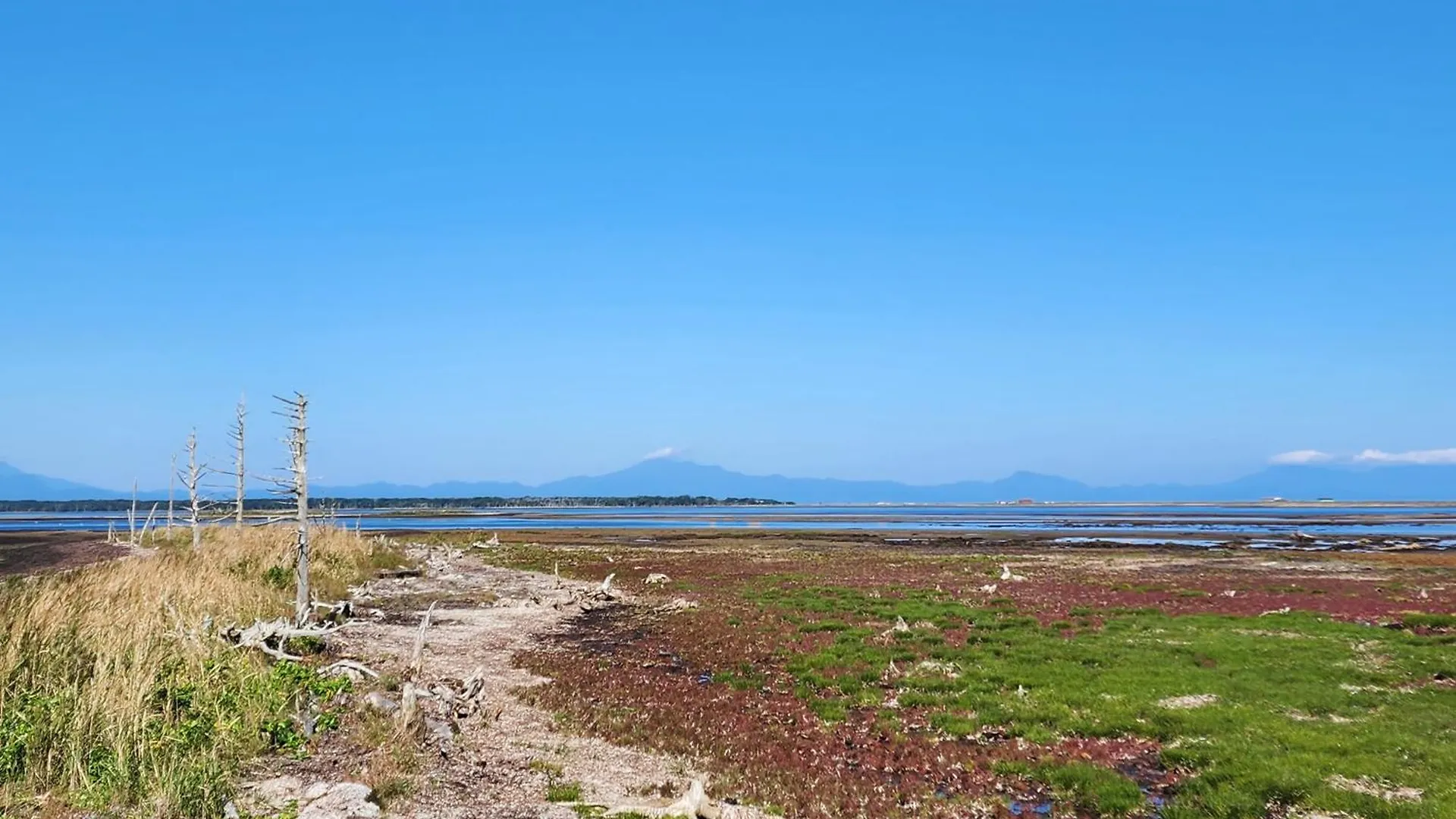 ゲストハウス Odaito Nest Japan