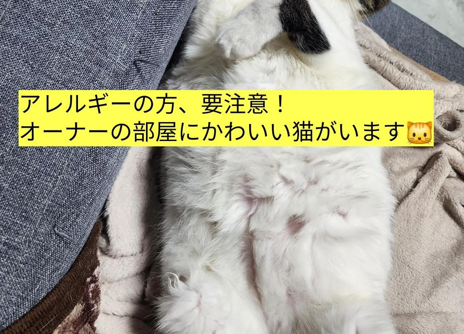 ゲストハウス Odaito Nest