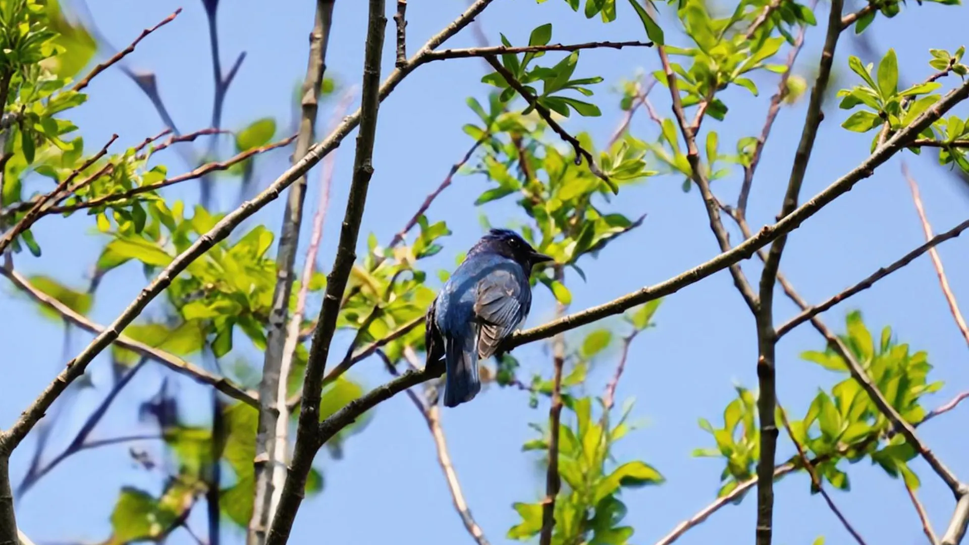ゲストハウス Odaito Nest
